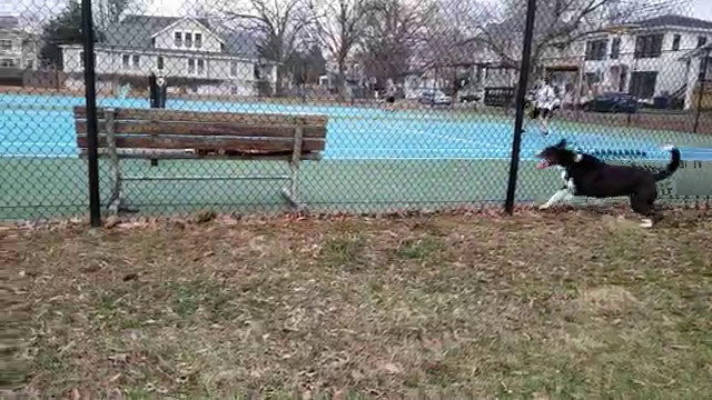 Vicarious Tennis